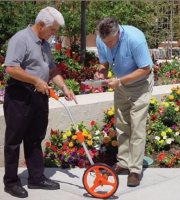 Two men measuring a roadside area with a measuring wheel